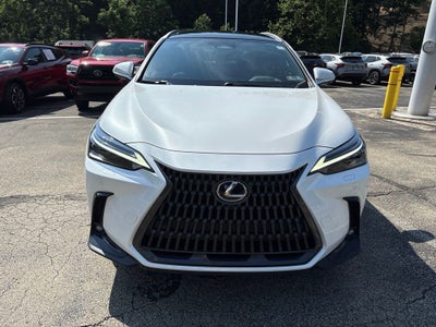 2025 Lexus NX 350h Luxury