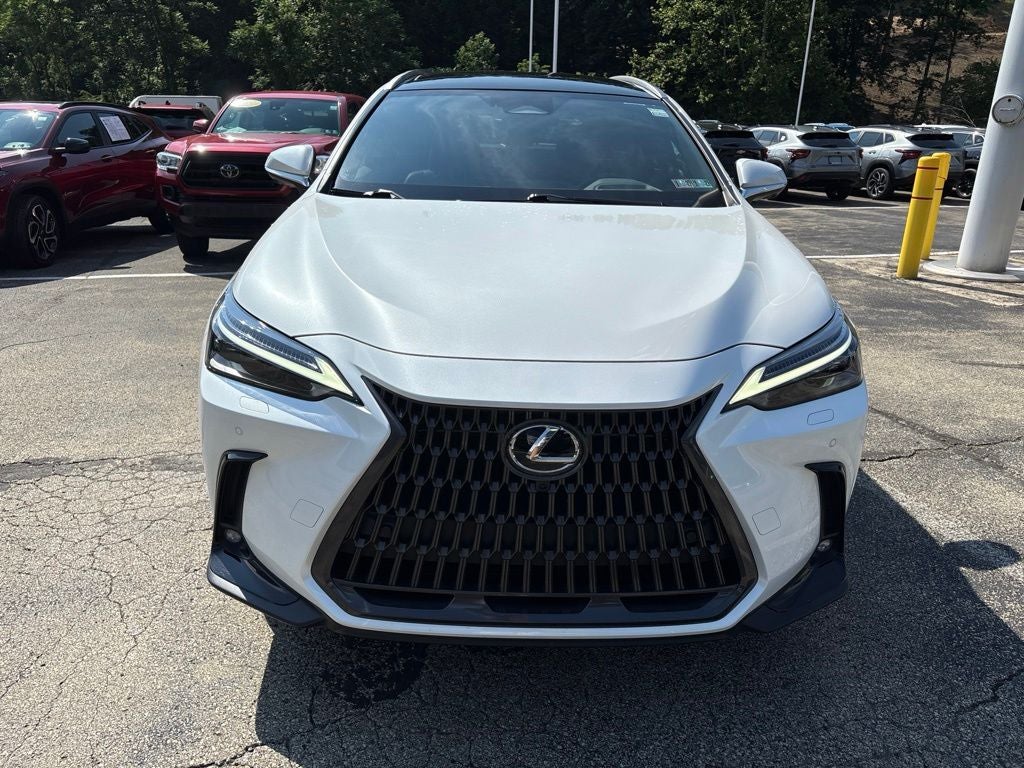 2025 Lexus NX 350h Luxury